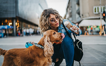 Beautiful young woman and her dog cocker spaniel eating ice cream in the city on sunny summer day